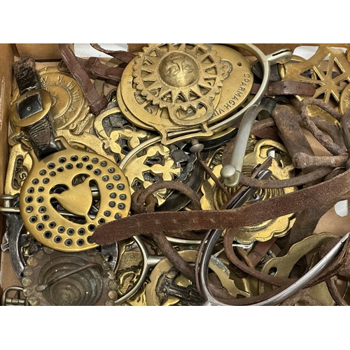 978 - A collection of 19th Century horse brasses.