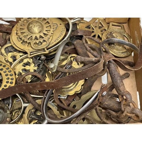 978 - A collection of 19th Century horse brasses.