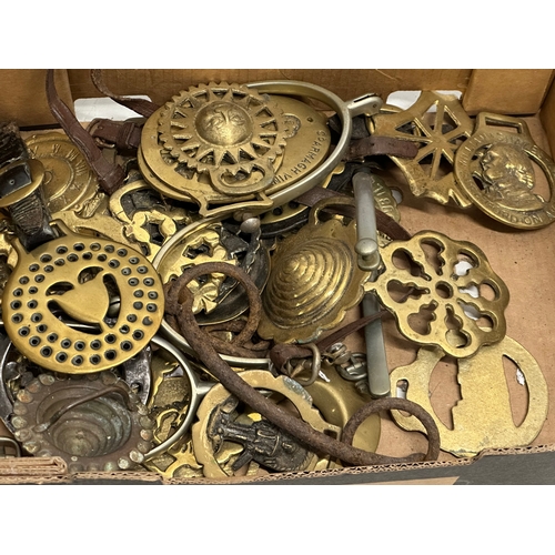 978 - A collection of 19th Century horse brasses.