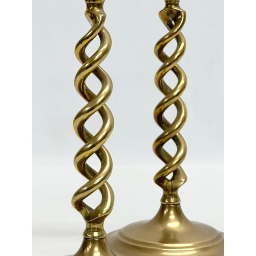 520 - A pair of large Early 20th Century brass candlesticks with barely twist columns. 29cm.