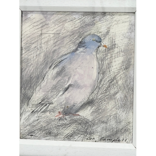 350 - Con Campbell. Wood Pigeon. 18x20cm. Frame 29x31cm.