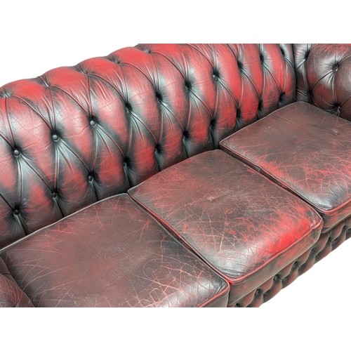 160 - A 3 seater ox-blood leather deep button back Chesterfield sofa / coach. 195cm (1)