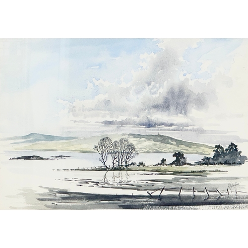 990B - R. Johnston. Watercolour drawing. Scrabo Tower. 33x23cm. Frame 45x35cm