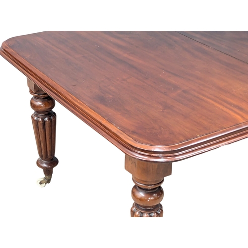 508A - A large Early Victorian mahogany telescopic dining table on turned reeded legs. Circa 1840s. 2 leave... 