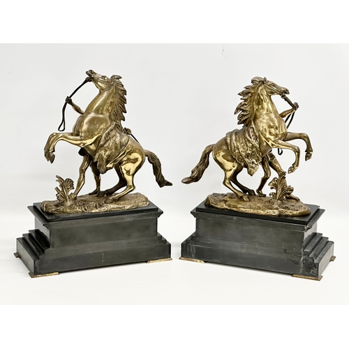 15 - A pair of excellent quality 19th Century Marly Horses on slate and brass bases. After Guillaume Cous... 