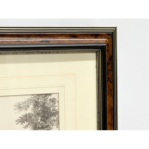 970 - A pair of Late 19th/Early 20th Century prints. Reframed. 71x60cm