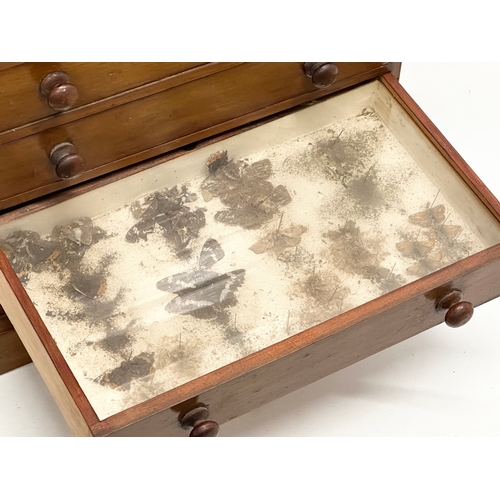 276 - A 19th Century Victorian pine specimens chest. Tabletop chest of drawers. 37x22x42.5cm.