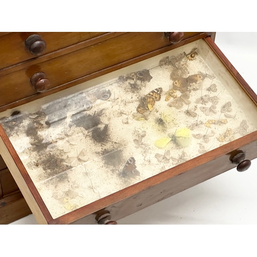 276 - A 19th Century Victorian pine specimens chest. Tabletop chest of drawers. 37x22x42.5cm.