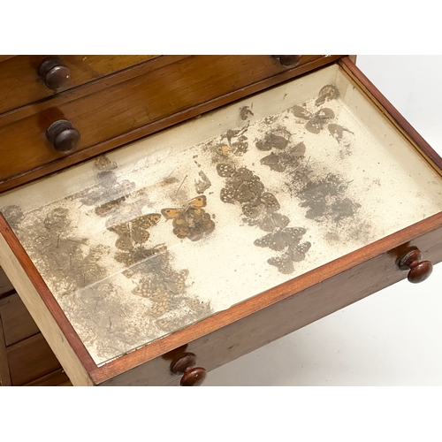 276 - A 19th Century Victorian pine specimens chest. Tabletop chest of drawers. 37x22x42.5cm.