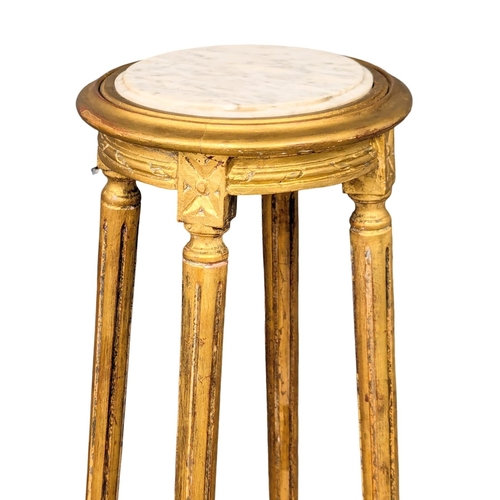 305 - A pair of tall French 18th Century style gilt wood jardinière stands with marble tops. 123cm