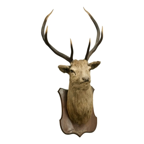 Lot 9         