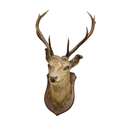 Lot 11        