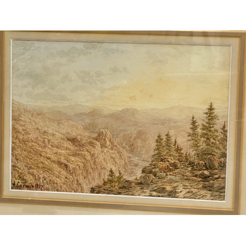 467 - A. Coleman. Late 19th Century watercolour. Dated 1887. 34x24cm. Frame 53x42.5cm