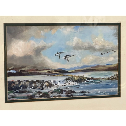 486 - A signed oil painting of Ducks in Flight. 40x26cm. Frame 65x50cm