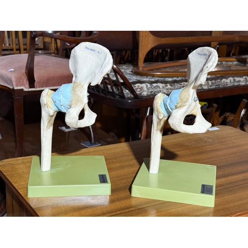 238 - Adam Rouilly Medical Plastics Lab. 18x18x33cm.