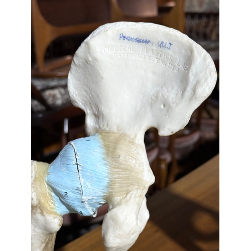 238 - Adam Rouilly Medical Plastics Lab. 18x18x33cm.