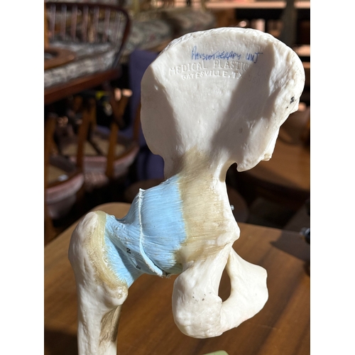 238 - Adam Rouilly Medical Plastics Lab. 18x18x33cm.