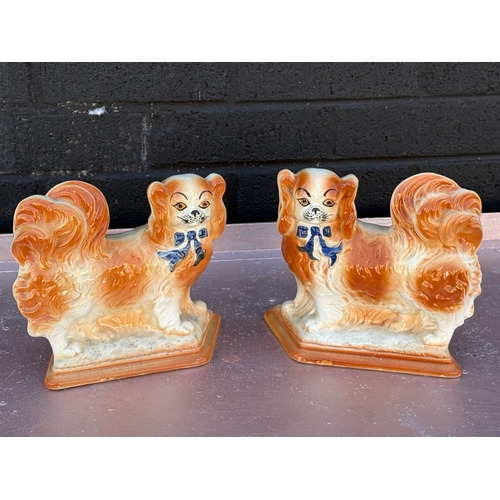 362 - A pair of vintage Staffordshire pottery dogs. 21x19.5cm.