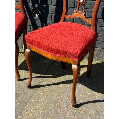415 - A pair of Edwardian mahogany side chairs