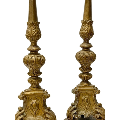 238 - A Pair of Tall Italian Giltwood Candlesticks. Early 19th Century. 66.5cm.