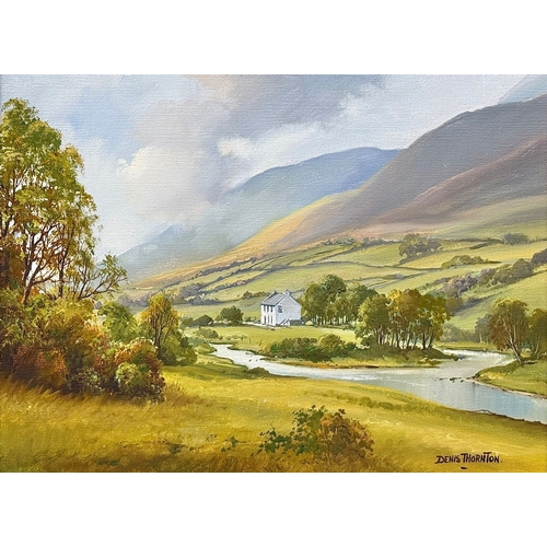 203 - Denis Thornton (1937-1999) An Oil on Canvas. Glenelly Valley, Co. Tyrone. 41x31cm. Frame 56x46cm.