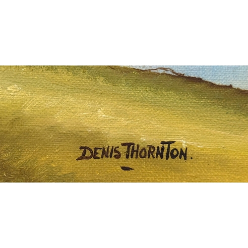 203 - Denis Thornton (1937-1999) An Oil on Canvas. Glenelly Valley, Co. Tyrone. 41x31cm. Frame 56x46cm.