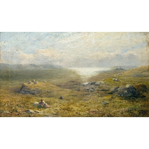 Lot 342       