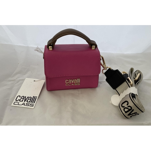 33 - Cavalli Bag