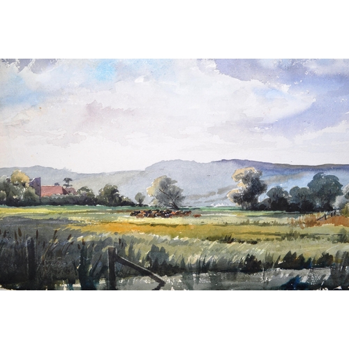 1302 - Juliet Pannett (1911 - 2005) - A collection of 20th century watercolour studies on paper from the Br... 