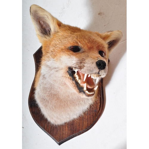 1452 - A collection of vintage 20th Century taxidermy items. Including deer antlers on a wooden mount, a fo... 