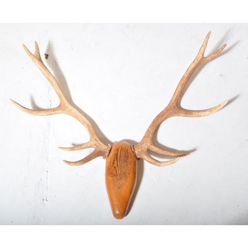 1452 - A collection of vintage 20th Century taxidermy items. Including deer antlers on a wooden mount, a fo... 