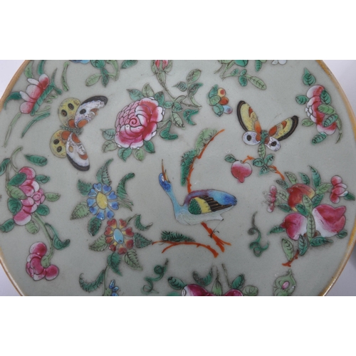 143 - Two 19th century Chinese porcelain plates. Each having a duck egg blue ground with hand painted Cant... 