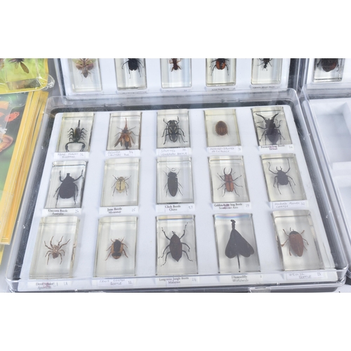 120 - A collection of National Geographic ' Real Life Bugs & Insects ' subscription magazines with accompa... 