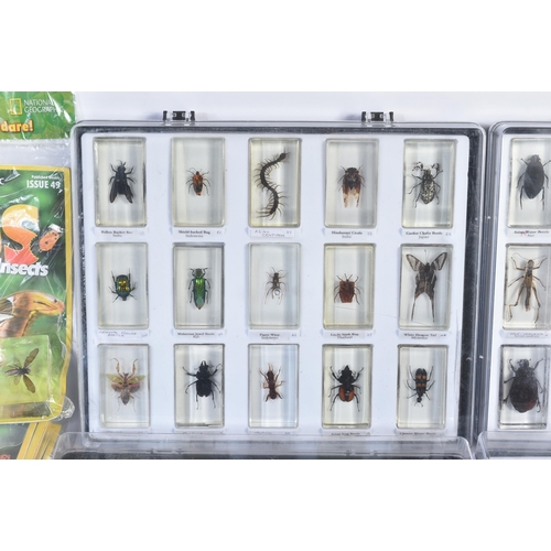 120 - A collection of National Geographic ' Real Life Bugs & Insects ' subscription magazines with accompa... 