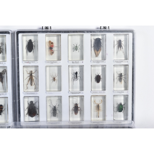 120 - A collection of National Geographic ' Real Life Bugs & Insects ' subscription magazines with accompa... 