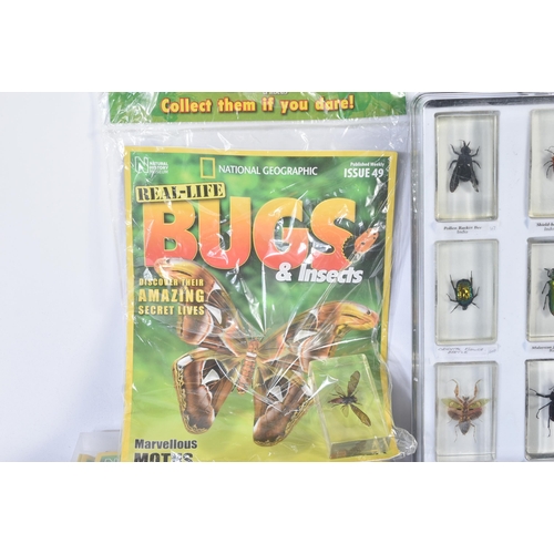 120 - A collection of National Geographic ' Real Life Bugs & Insects ' subscription magazines with accompa... 