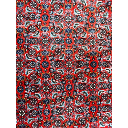 960 - Vintage 20th Century Bidjar Persian Islamic carpet floor rug. Having a 500000 knot count, with intri... 