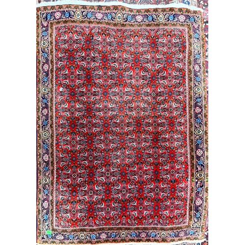 960 - Vintage 20th Century Bidjar Persian Islamic carpet floor rug. Having a 500000 knot count, with intri... 