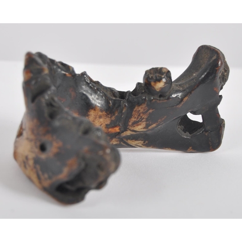 178 - A 19th century Nepalese witch doctors amulet. In the form of a human lower jaw, of charred and lacqu... 