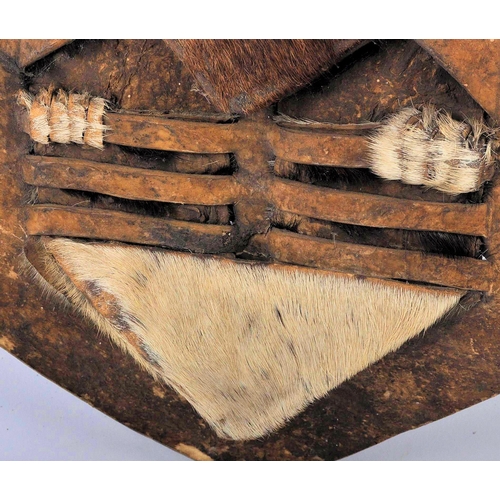 55 - A 19th Century African Tribal Zulu war shield. Hide construction and of typical form with pierced se... 