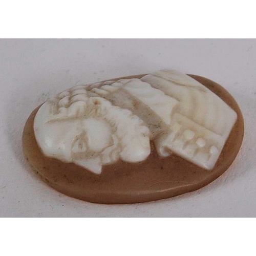 512 - An 18th century cameo shell cameo carving. Of oval, carved to depict a male bust in profile, facing ... 