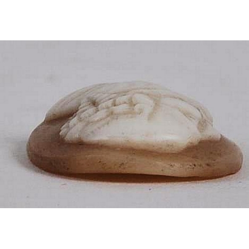 512 - An 18th century cameo shell cameo carving. Of oval, carved to depict a male bust in profile, facing ... 