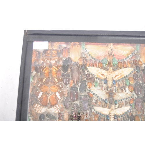 60 - Natural History Entomology & Taxidermy interest - A 19th Century Victorian cased display depicting v... 