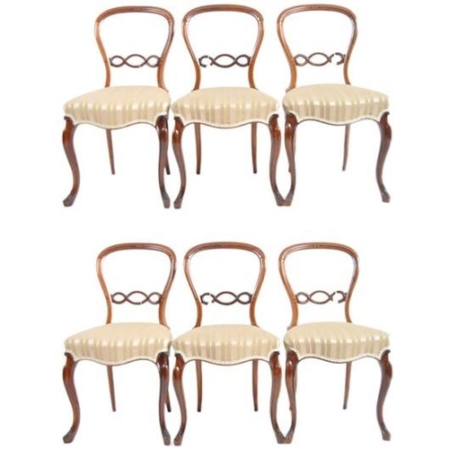 699 - A set of six 19th Century Victorian rosewood & mahogany balloon back dining chairs. Carved pierced b... 