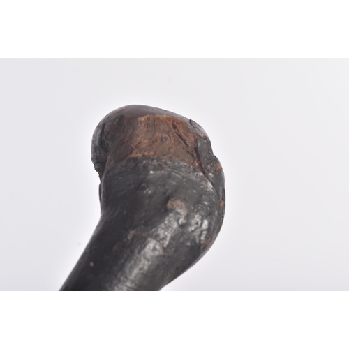 248 - A 20th Century African tribal knobkerrie club with a weighted root head and slender shaft with root ... 