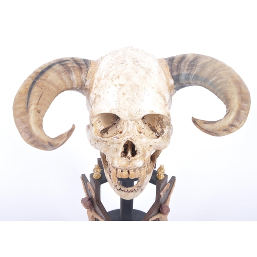 94 - A contemporary demonic skull head, with rams horns and fangs to the head supports by an ebonised sta... 