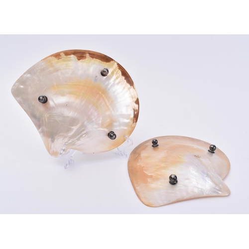 102 - A pair of 19th century Victorian mother of pearl shell table plates. Each plate of typical shell for... 