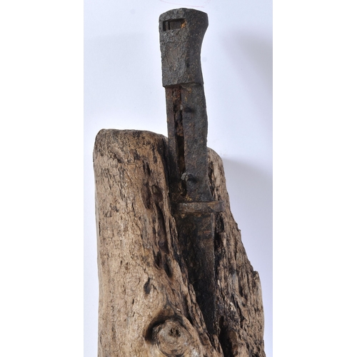 38 - A WWI First World Imperial German Army Mauser rifle bayonet relic impaled on a large tree branch. By... 