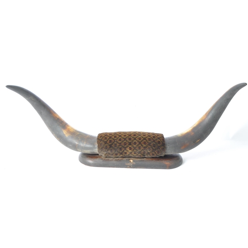 253 - A 20th century wall mounted bull horn mounted on a mahogany wall shield. Measures approx; 54cm x 13c... 