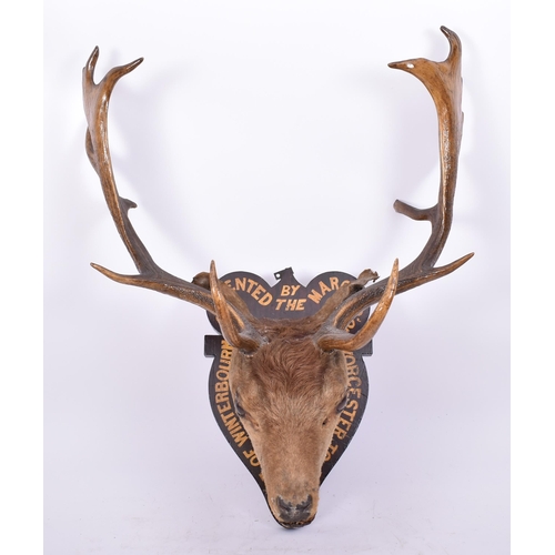 248 - Natural History Interest - a 19th century European fallow deer stag taxidermy head mounted on wooden... 